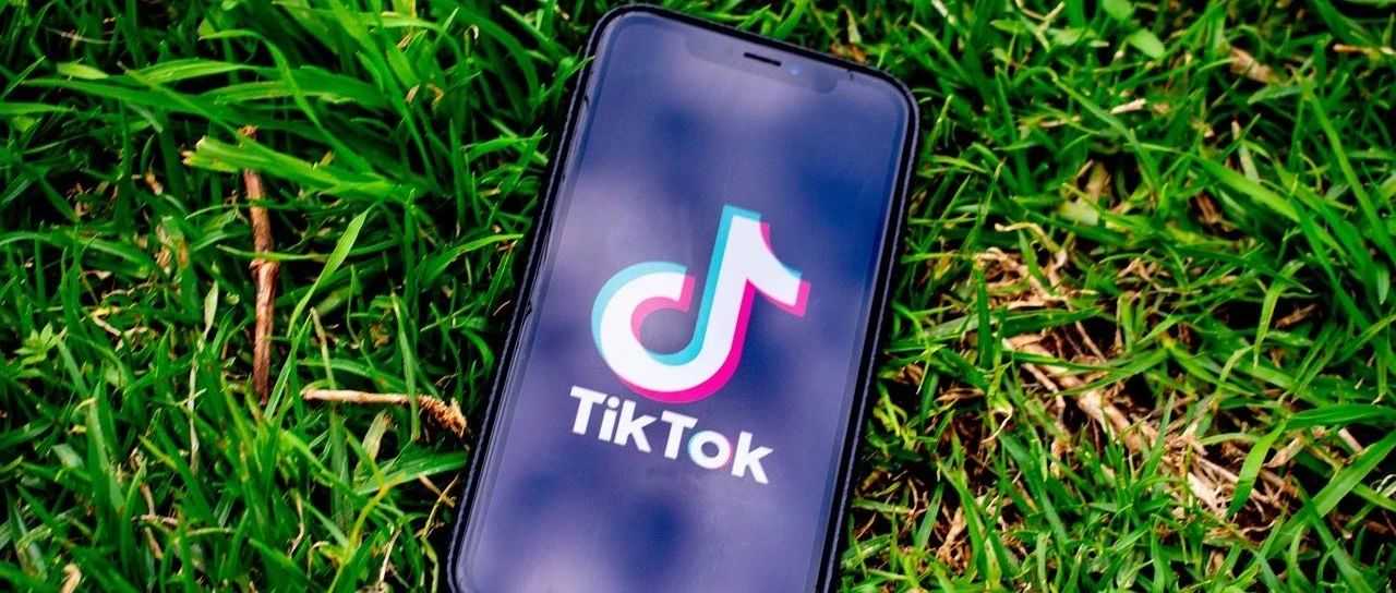 送外卖、开Uber、做电商,一生要强的美国人为何不能失去TikTok