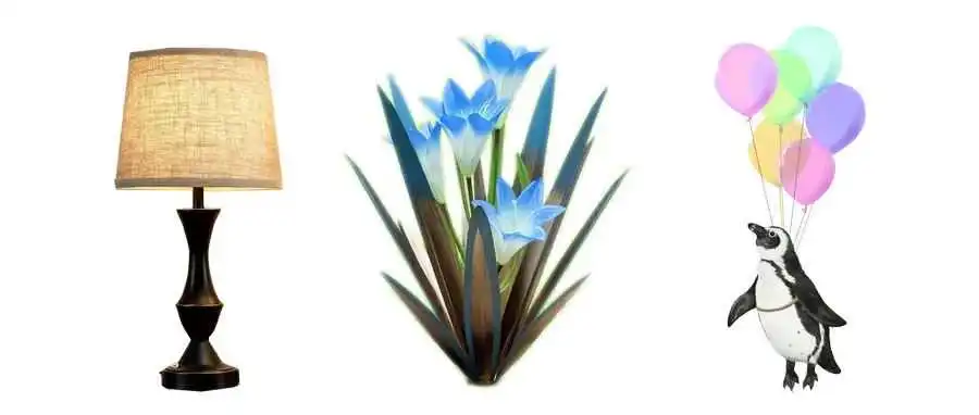台灯、人造植物专利维权,以及萌宠猫咪版权来袭!
