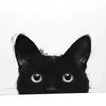 【25-cv-1481】Laura Graves版权画TRO维权，这几张图片请谨慎使用！未开始冻结账户资金！