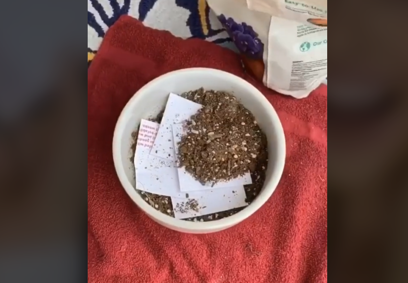 价格翻4000%,月销1万+单,小众明信片出海狂赚!