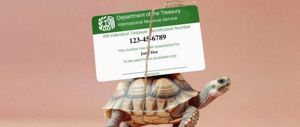 外国人面临长期的纳税延迟，原因在于美国IRS的失灵