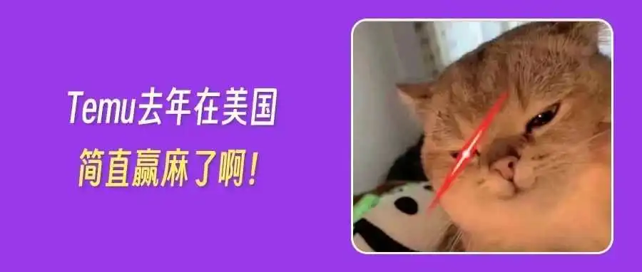 Temu的折扣策略起效了！53%的消费者选择了它，Amazon Haul只有24%