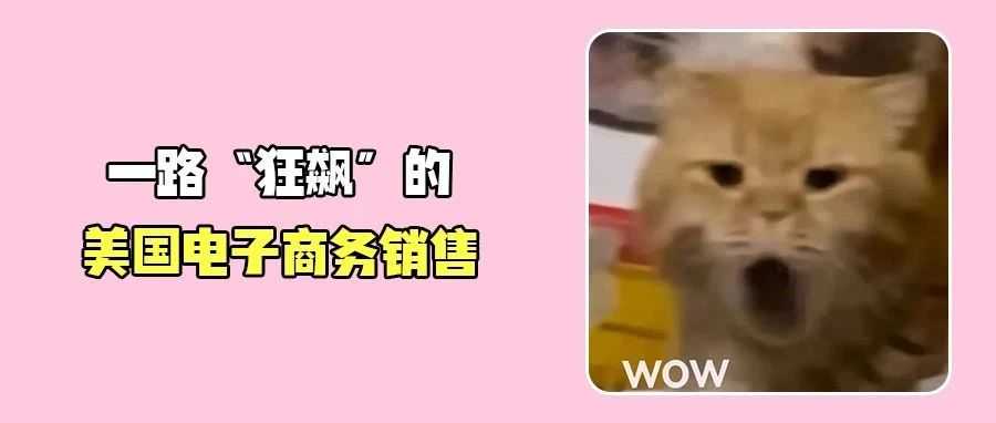 再创新高！美国电子商务渗透率达有记录以来的最高值