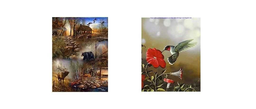 【侵权快讯】25-cv-2535 又有野生动物风景插画发起维权了！这3张图片已被Keith代理，速看避雷！