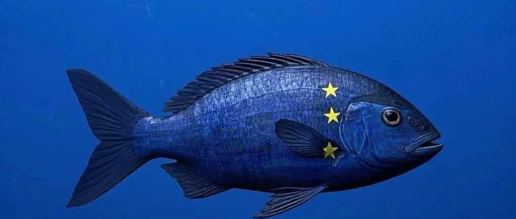 欧盟推新举措,剑指低价值进口电商风险