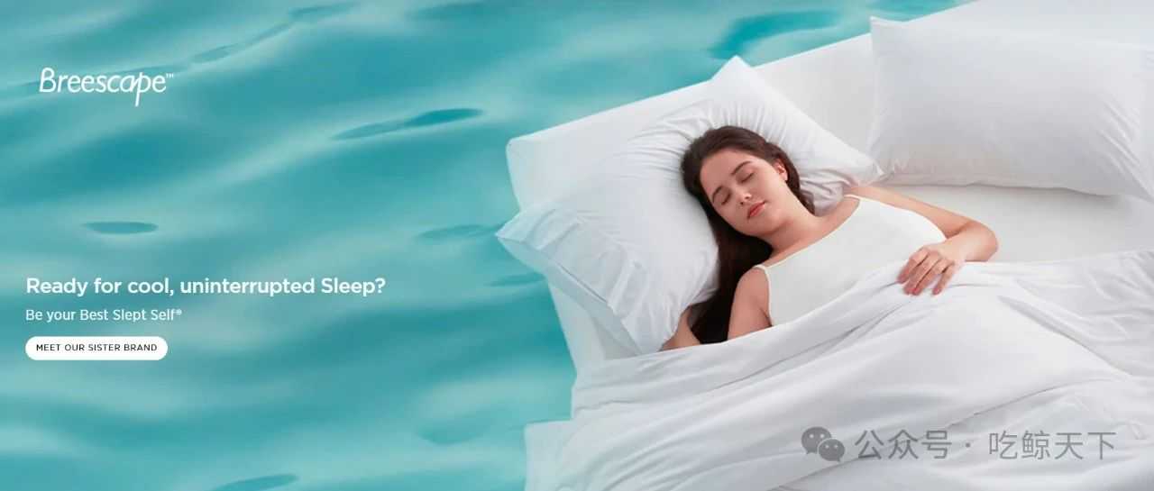 单条毛毯狂卖800万刀！Bedsure如何用TikTok把床品变"快时尚"？
