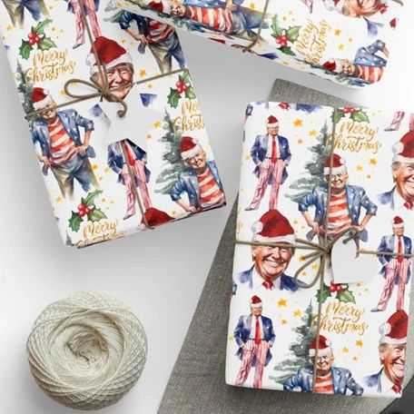 【25-cv-3002】美国总统特朗普版权图片请勿使用!Elizaveta Negru版权画TRO维权,未开始冻结账户资金!