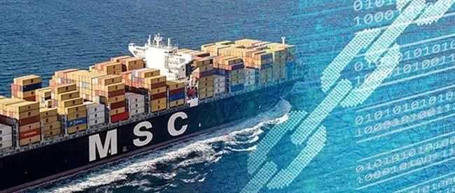 航运巨头MSC宣布：停航！
