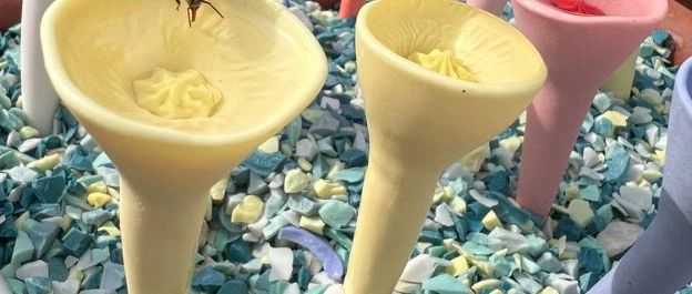 美国Bee Cups独特花朵设计产品发起了版权维权！