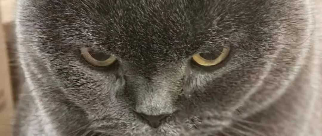 过分！白宫宣布：对所有中国进口商品征收 104% 关税