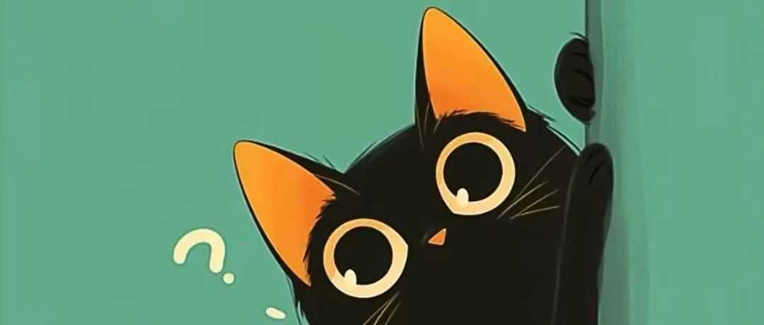 大卖实操 | 亚马逊怎么做竞品分析？（卖家精灵+DeepSeek=王炸）