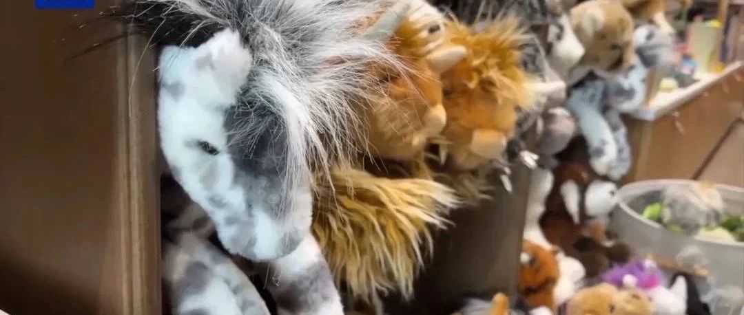 美国孩子因为关税滥施，连玩具都买不起了！