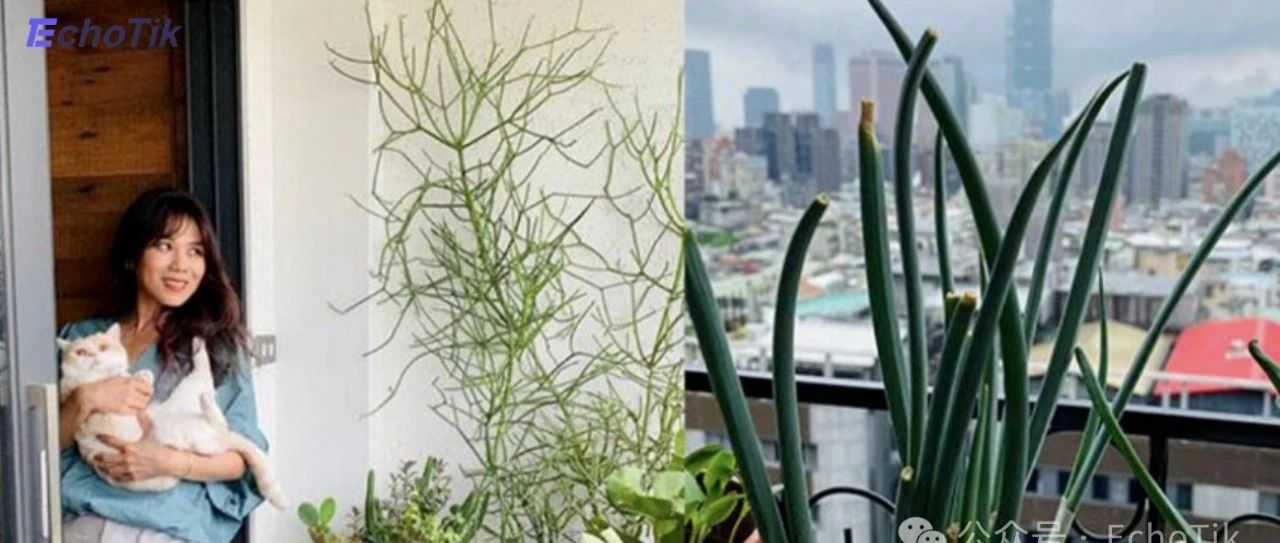 单品狂销11万件！“热带神器”在泰国TikTok掀起抢购热潮？小众单品逆袭