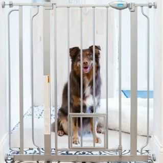 【25-cv-21998 】连发两案!Carlson Pet Products宠物防护门装置发明专利TRO维权,未冻结账户资金。