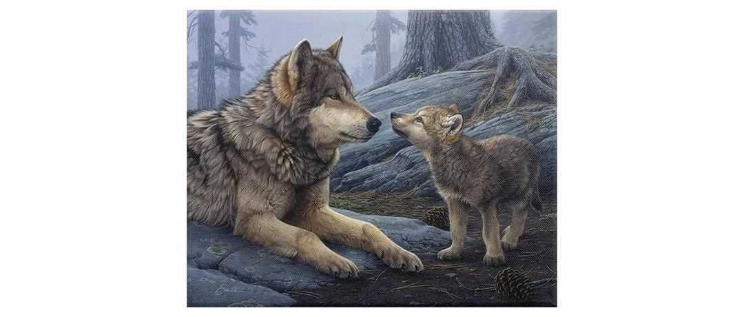 【侵权快讯】25-cv-539 隐匿案件曝光！56家店铺中招，速排查这张狼与幼崽插画你用过没？