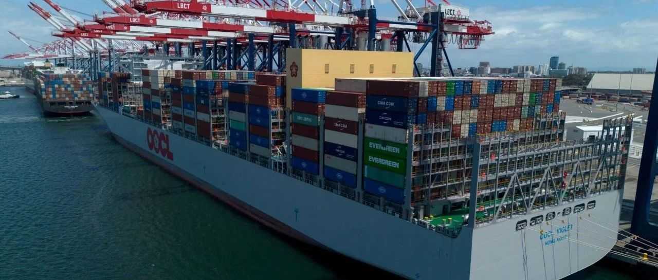 离谱！5.6亿美元的货，4.1亿美元的税！这艘集装箱船被坑惨了！