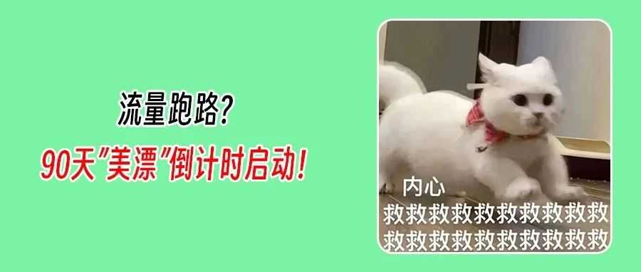 Temu流量大转移？卖家速来抢占90天黄金窗口期！