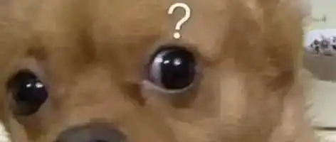 达人自然流量不可靠?品牌方必须直面的推广真相