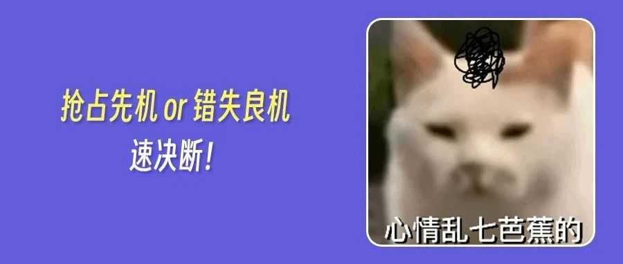 运价飙涨？关税红利反致卖家陷入成本拉锯战！