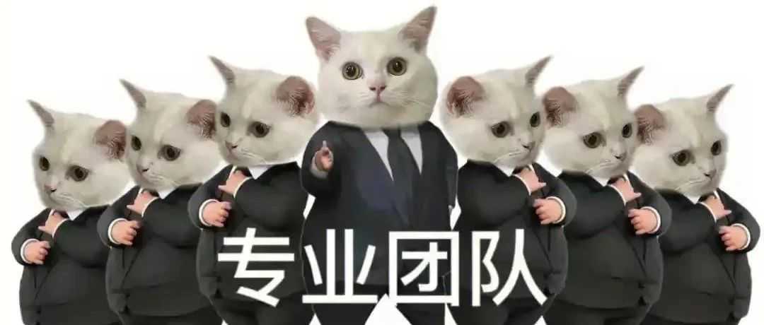 达人要价高,预算捉襟见肘?专业团队助你花小钱办大事!