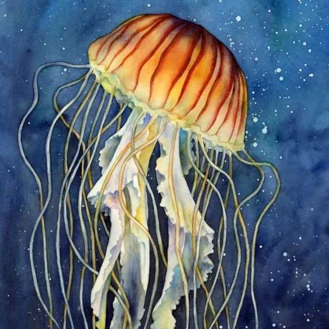 【25-cv-05578】雏菊束/水母等7大代表作加入TRO, Hailey Herrera水彩蜡染绘画维权!