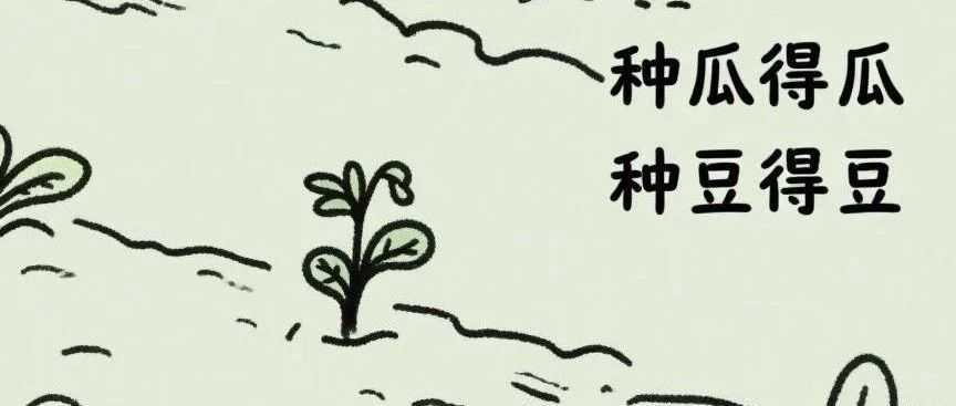 世界各国关税漏洞正不断被消除，中国企业为卷王捅的篓子埋单！