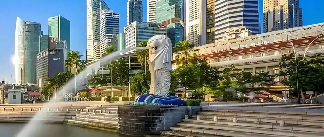 新加坡公司注册新规 6 月 9 日正式实施！合规要求全面升级，老板们速看关键变化→