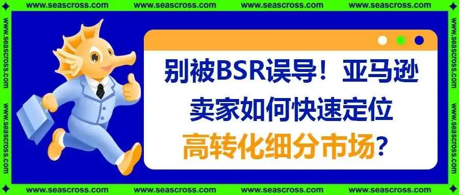 别被BSR误导!亚马逊卖家如何快速定位高转化细分市场?(附案例)