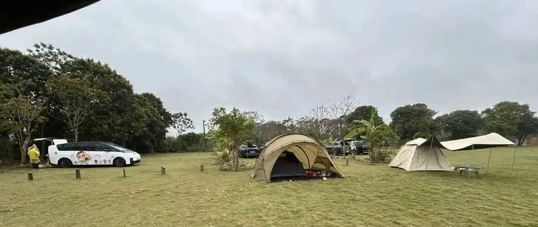 Daniel：如何获得AIO搜索结果详细教程