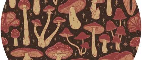 这些版权开始维权了，卖家要小心了！