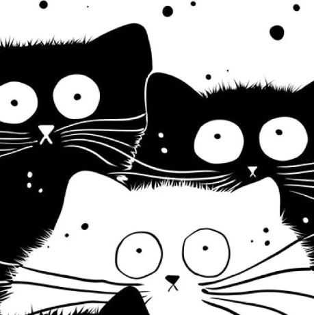 【25-cv-6180】抓紧排查!Kim Haskins黑白可爱猫咪版权首发TRO维权,未开始冻结账户资金!