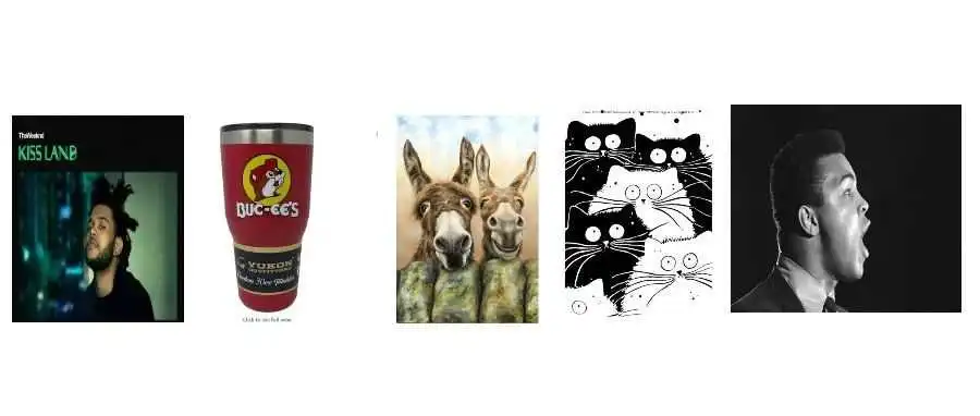 TRO新案!200+店铺已中招!BUC-EES、威肯、Muhammad Ali全是选品雷区!还有可爱的毛驴、猫咪插画!小心踩坑哦