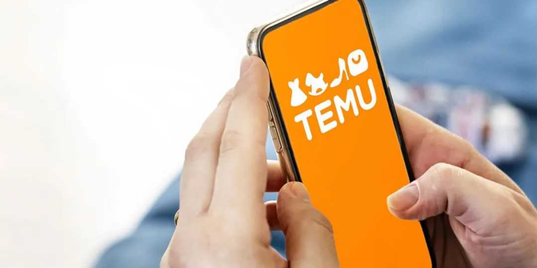 1fe123740fec-temu.jpg