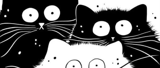 黑白可爱猫咪版权，黑蝴蝶图案版权侵权起诉已立案，跨境卖家速看避雷！