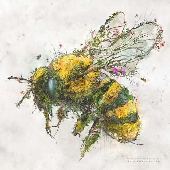 【25-cv-6277】Keith律所代理 Barrett Christopher蜂蜜、帝王蝶版权画作 TRO 维权