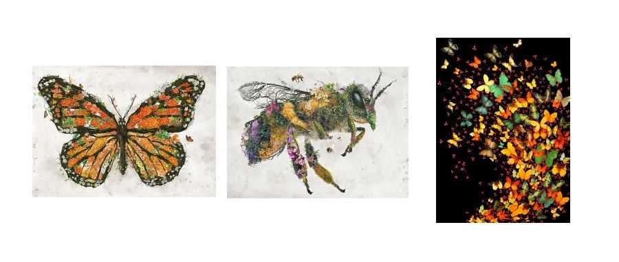 别只看图好看！蝴蝶版权图变TRO“收割机”，Keith律所再出击！【25-cv-6277、 25-cv-6246】