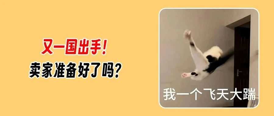 重磅!巴基斯坦“剑指”亚马逊等跨境平台征税,全球征税潮再添一国!