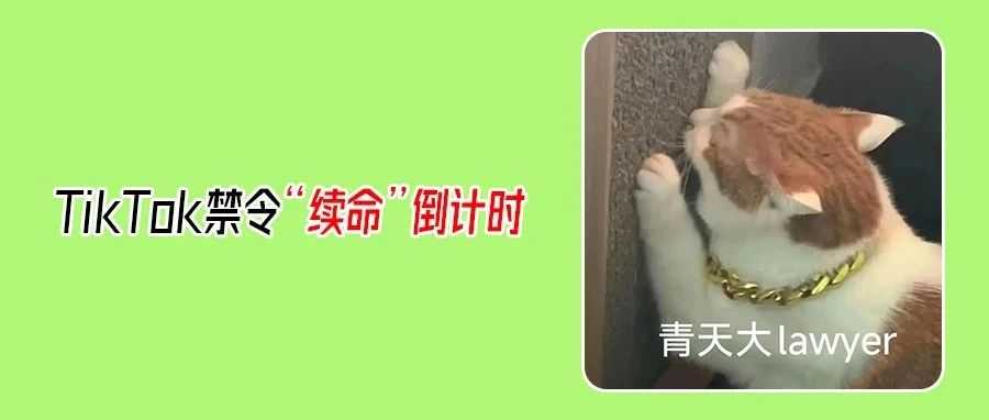 紧急!TikTok禁令将获三度延期?多市场入驻冲刺中!