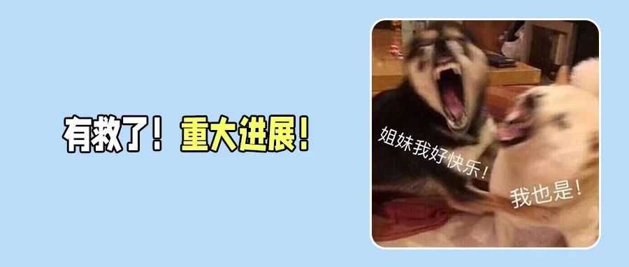 重磅!中美伦敦谈判取得实质性进展!Temu美区全托或将回归!