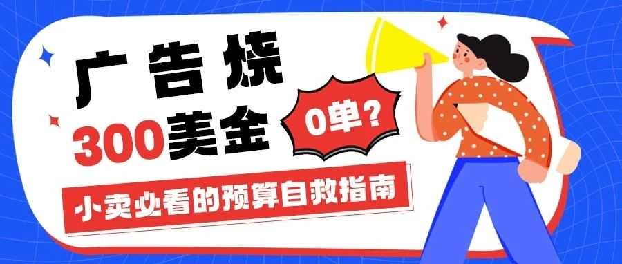 广告烧 300 美金 0 单？小卖必看的预算自救指南