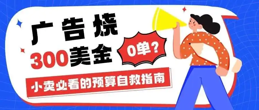 广告烧 300 美金 0 单?小卖必看的预算自救指南