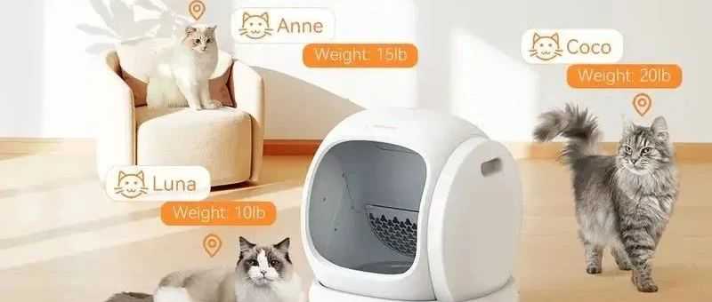 TikTok宠物爆品，售价300美元的猫砂盆单品卖出600万美元