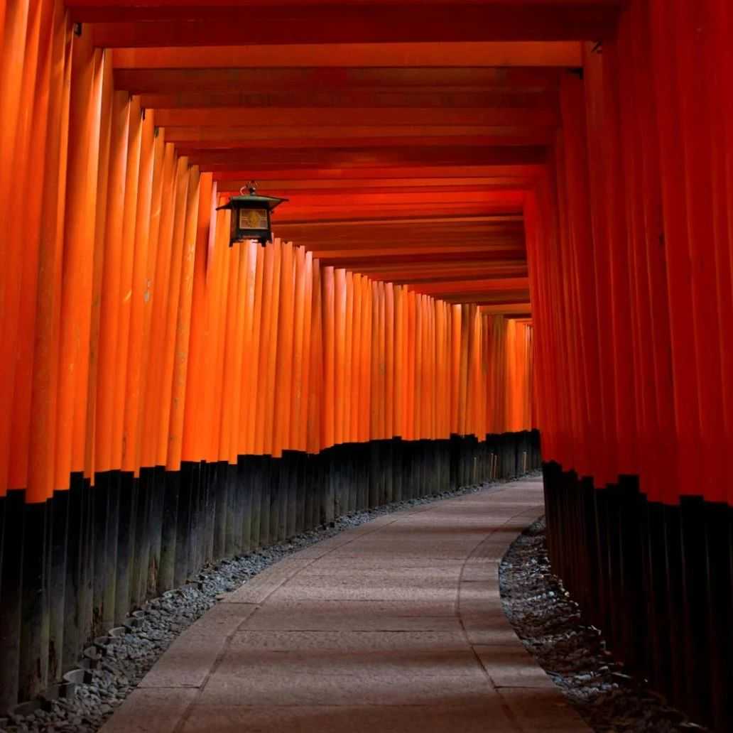 新机会！TK开放日本POP跨境直邮自主注册