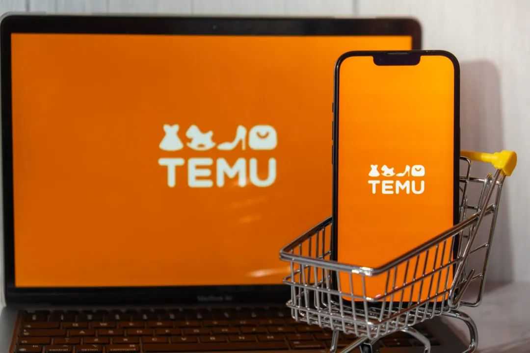 Dropshipping-Temu-scaled.jpeg