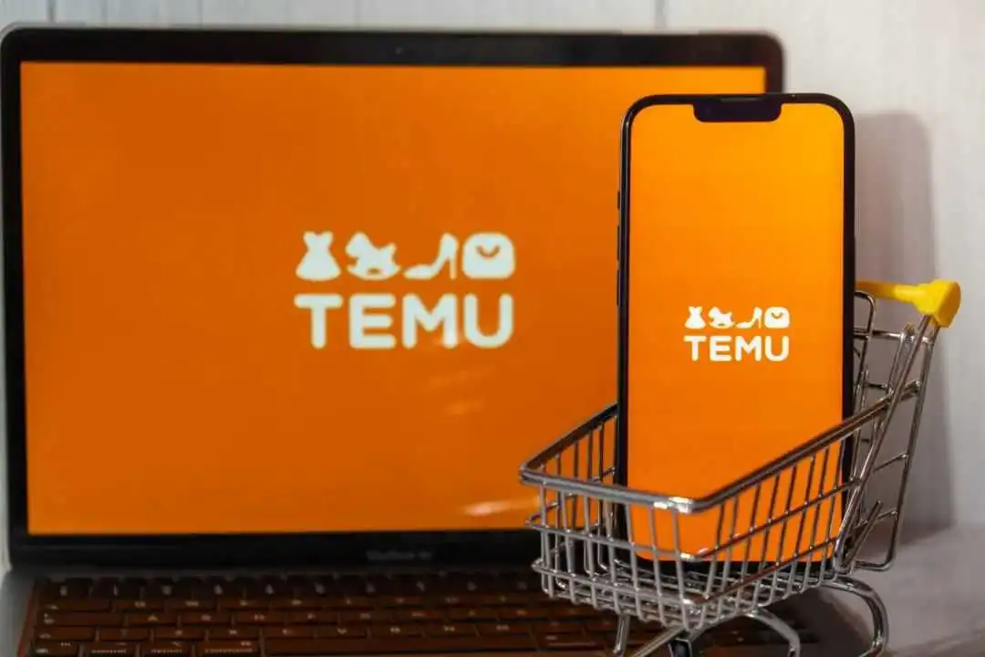 Dropshipping-Temu-scaled.jpeg
