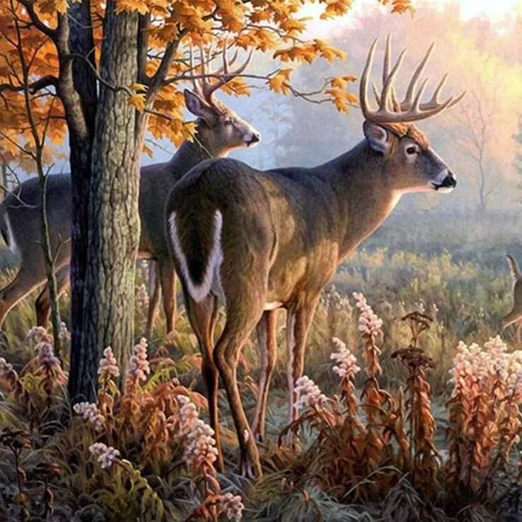 【25-cv-7026】侵权必究！Keith律所代理Greg Alexander的白尾鹿版权画TRO维权，未开始冻结账户资金！