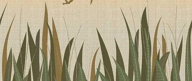 Keith新代理的两张图片不能用了，尽快下架处理！