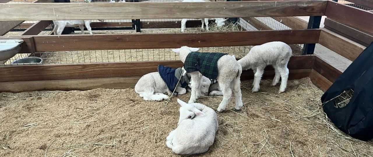 一家老牌业内知名企业于今日赴港递交 IPO ！