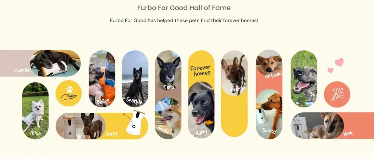 当科技读懂爱：260万粉丝海外博主都在用的宠物神器