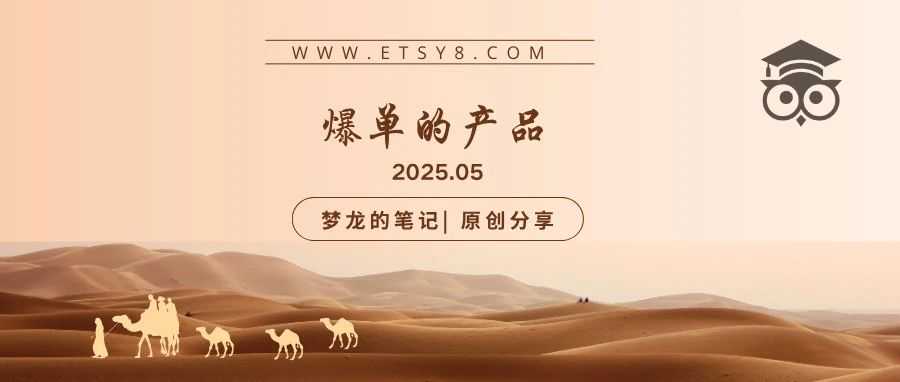 Etsy 平台正在爆单的产品(US) 2025.05